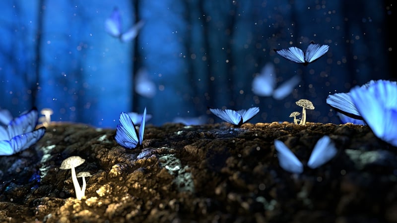 Mystical Wedding Forest